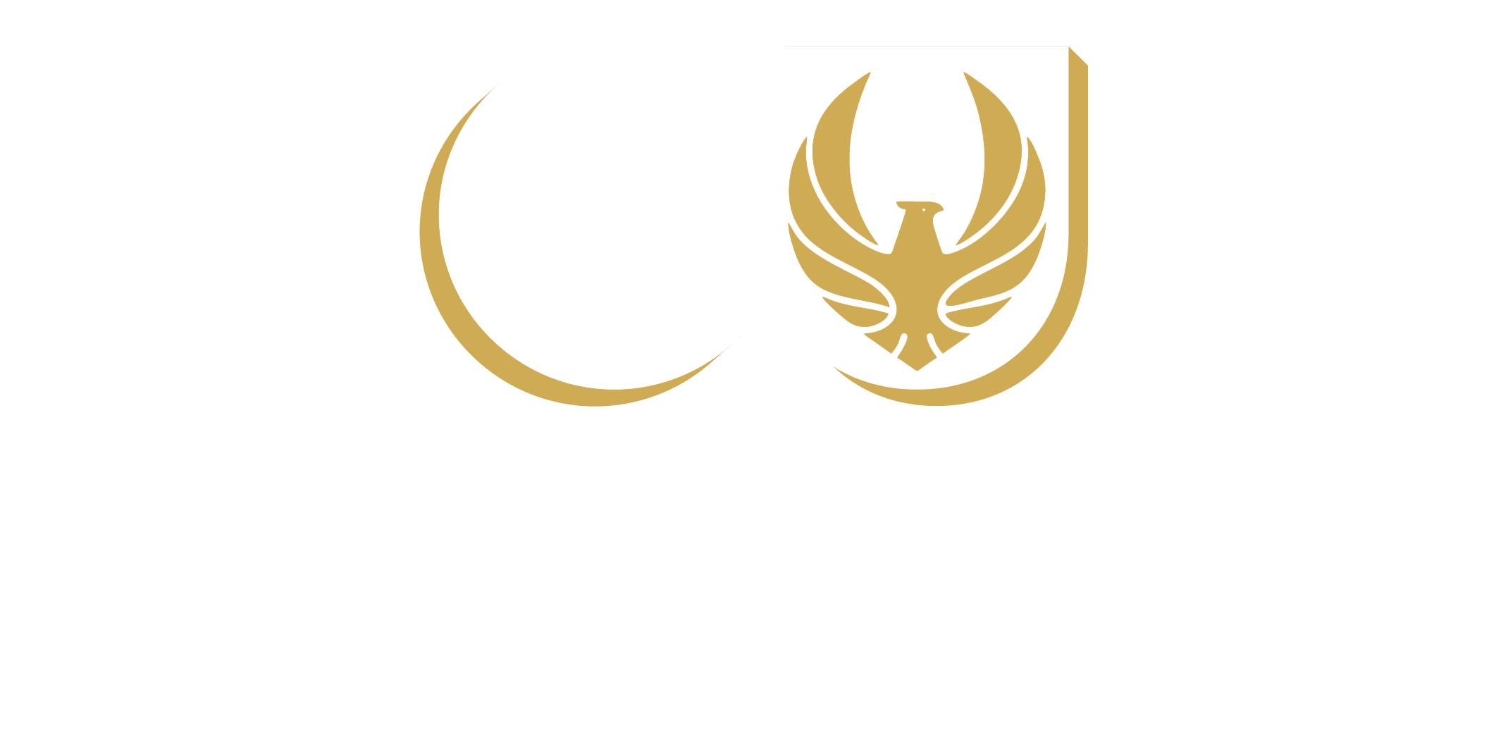 Gandhinagar University